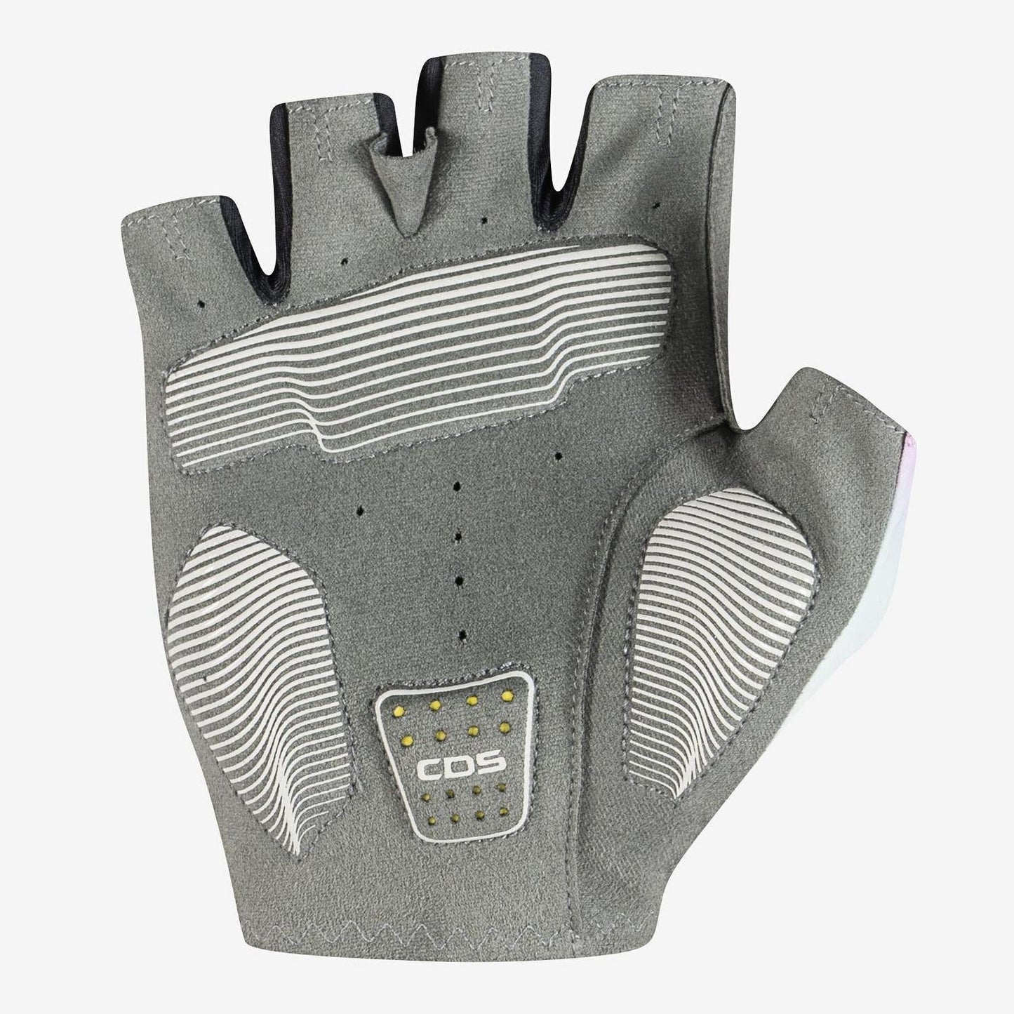 COMPETIZIONE 2 Gloves : MULTICOLOR VIOLET